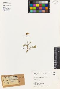 SW_BNB_s3080-03688_IMG-0000000001