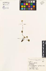 SW_BNB_s3080-03705_IMG-0000000001