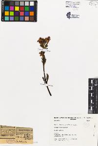 SW_BNB_s3080-03713_IMG-0000000001