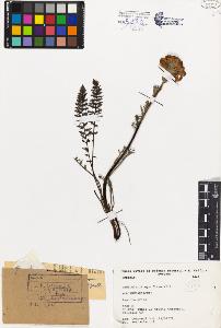 SW_BNB_s3080-03716_IMG-0000000001