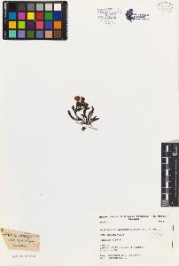 SW_BNB_s3080-03718_IMG-0000000001