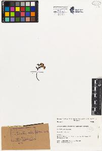 SW_BNB_s3080-03720_IMG-0000000001