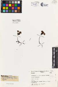 SW_BNB_s3080-03721_IMG-0000000001