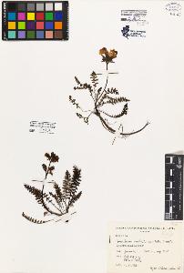 SW_BNB_s3080-03722_IMG-0000000001