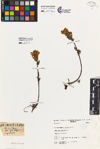 SW_BNB_s3080-03725_IMG-0000000001