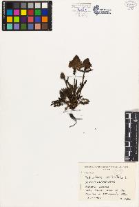 SW_BNB_s3080-03726_IMG-0000000001