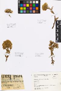 SW_BNB_s3080-03728_IMG-0000000001