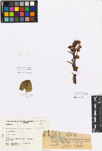 SW_BNB_s3080-03729_IMG-0000000001
