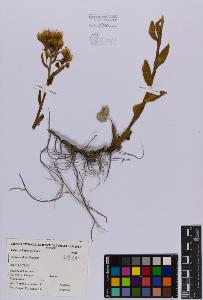 SW_BNB_s3080-03731_IMG-0000000001