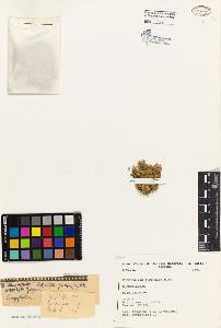 SW_BNB_s3080-03733_IMG-0000000001