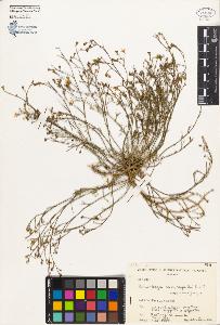 SW_BNB_s3080-03736_IMG-0000000001