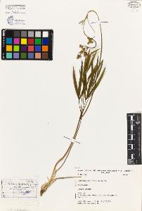 SW_BNB_s3080-03739_IMG-0000000001