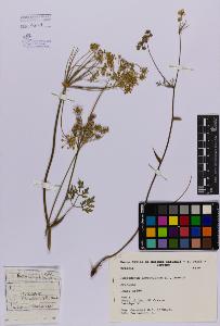 SW_BNB_s3080-03741_IMG-0000000001