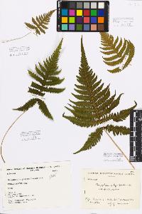 SW_BNB_s3080-03745_IMG-0000000001