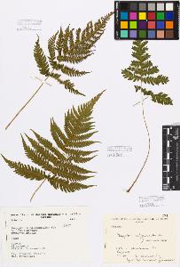 SW_BNB_s3080-03746_IMG-0000000001