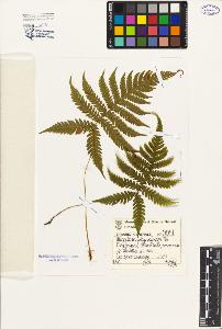SW_BNB_s3080-03747_IMG-0000000001
