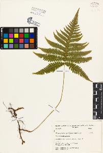 SW_BNB_s3080-03751_IMG-0000000001