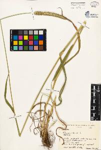 SW_BNB_s3080-03759_IMG-0000000001