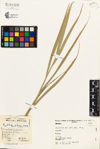 SW_BNB_s3080-03760_IMG-0000000001