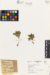 SW_BNB_s3080-03779_IMG-0000000001