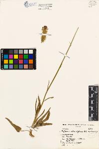 SW_BNB_s3080-03786_IMG-0000000001