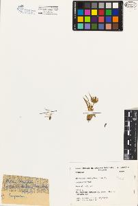 SW_BNB_s3080-03788_IMG-0000000001