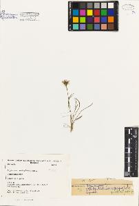 SW_BNB_s3080-03792_IMG-0000000001