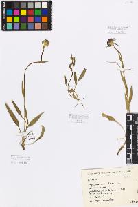 SW_BNB_s3080-03794_IMG-0000000001