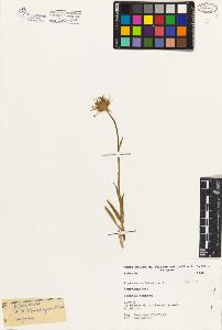 SW_BNB_s3080-03797_IMG-0000000001