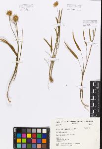 SW_BNB_s3080-03804_IMG-0000000001