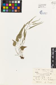 SW_BNB_s3080-03805_IMG-0000000001