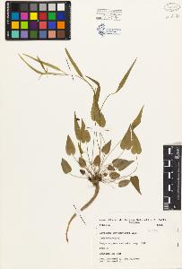 SW_BNB_s3080-03811_IMG-0000000001