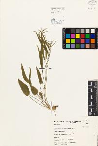 SW_BNB_s3080-03813_IMG-0000000001