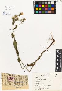 SW_BNB_s3080-03827_IMG-0000000001