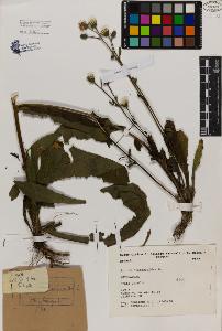 SW_BNB_s3080-03828_IMG-0000000001