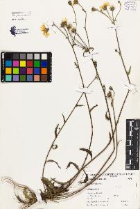 SW_BNB_s3080-03829_IMG-0000000001