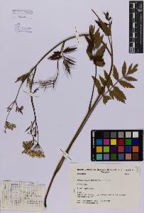 SW_BNB_s3080-03831_IMG-0000000001