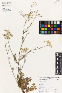 SW_BNB_s3080-03834_IMG-0000000001