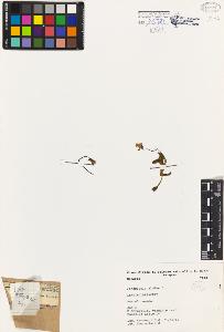 SW_BNB_s3080-03835_IMG-0000000001