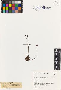 SW_BNB_s3080-03836_IMG-0000000001