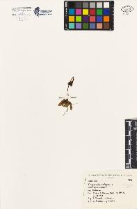 SW_BNB_s3080-03838_IMG-0000000001
