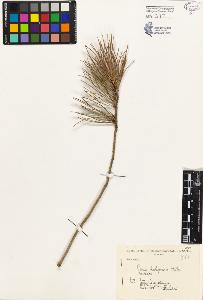 SW_BNB_s3080-03839_IMG-0000000001