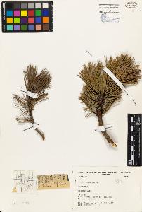 SW_BNB_s3080-03842_IMG-0000000001
