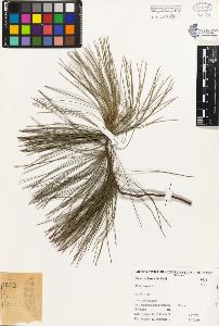 SW_BNB_s3080-03846_IMG-0000000001
