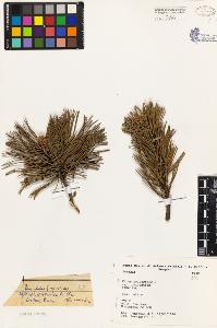 SW_BNB_s3080-03847_IMG-0000000001