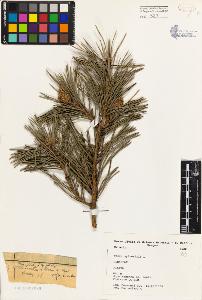 SW_BNB_s3080-03849_IMG-0000000001