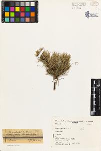 SW_BNB_s3080-03850_IMG-0000000001