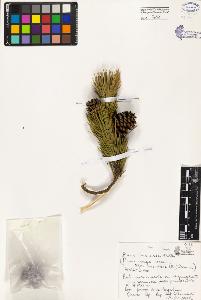 SW_BNB_s3080-03851_IMG-0000000001