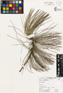 SW_BNB_s3080-03853_IMG-0000000001