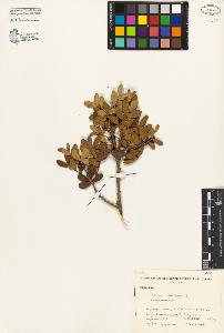 SW_BNB_s3080-03854_IMG-0000000001